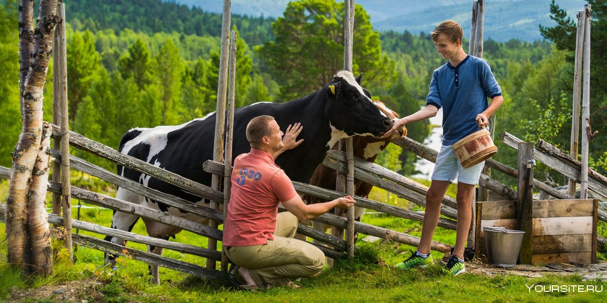 Семейная ферма в Норвегии