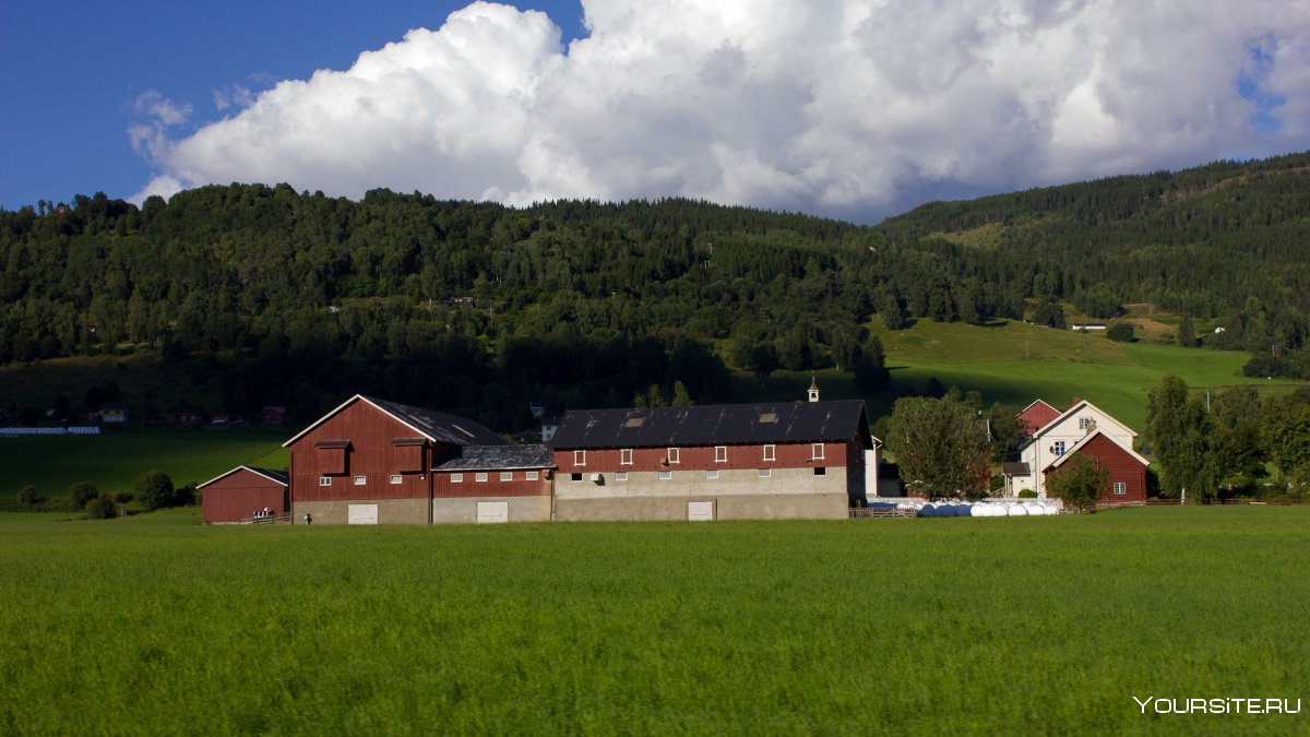 Ферма кьесен Норвегия