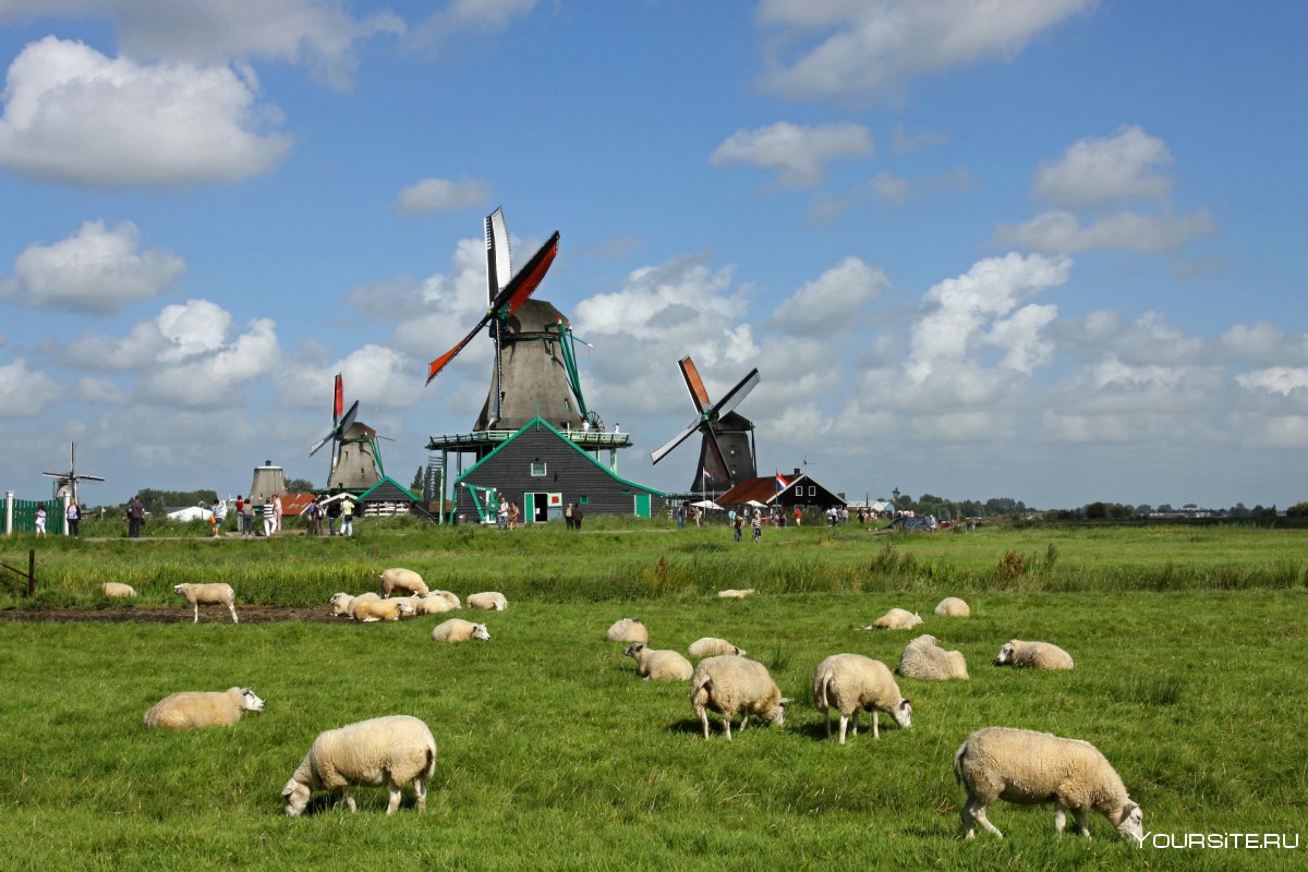 Голландия сельское хозяйство