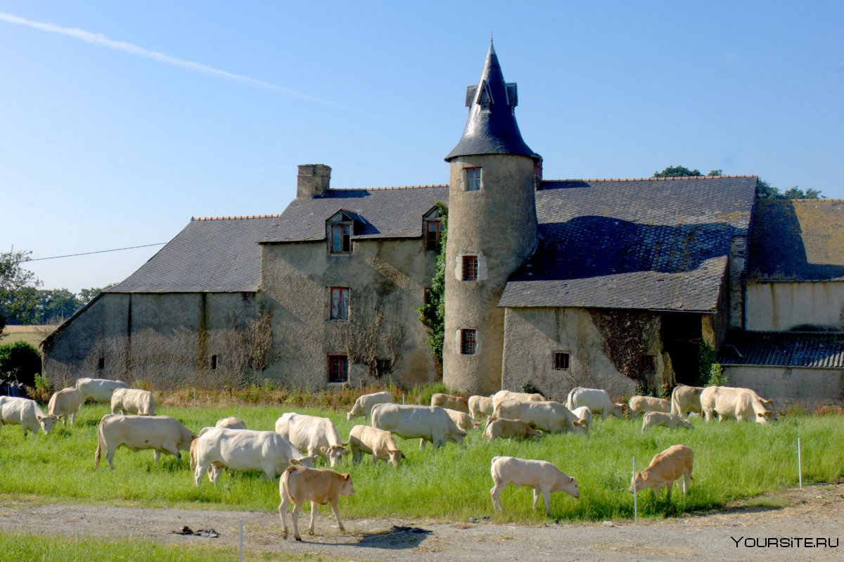 Сельское хозяйство Франции
