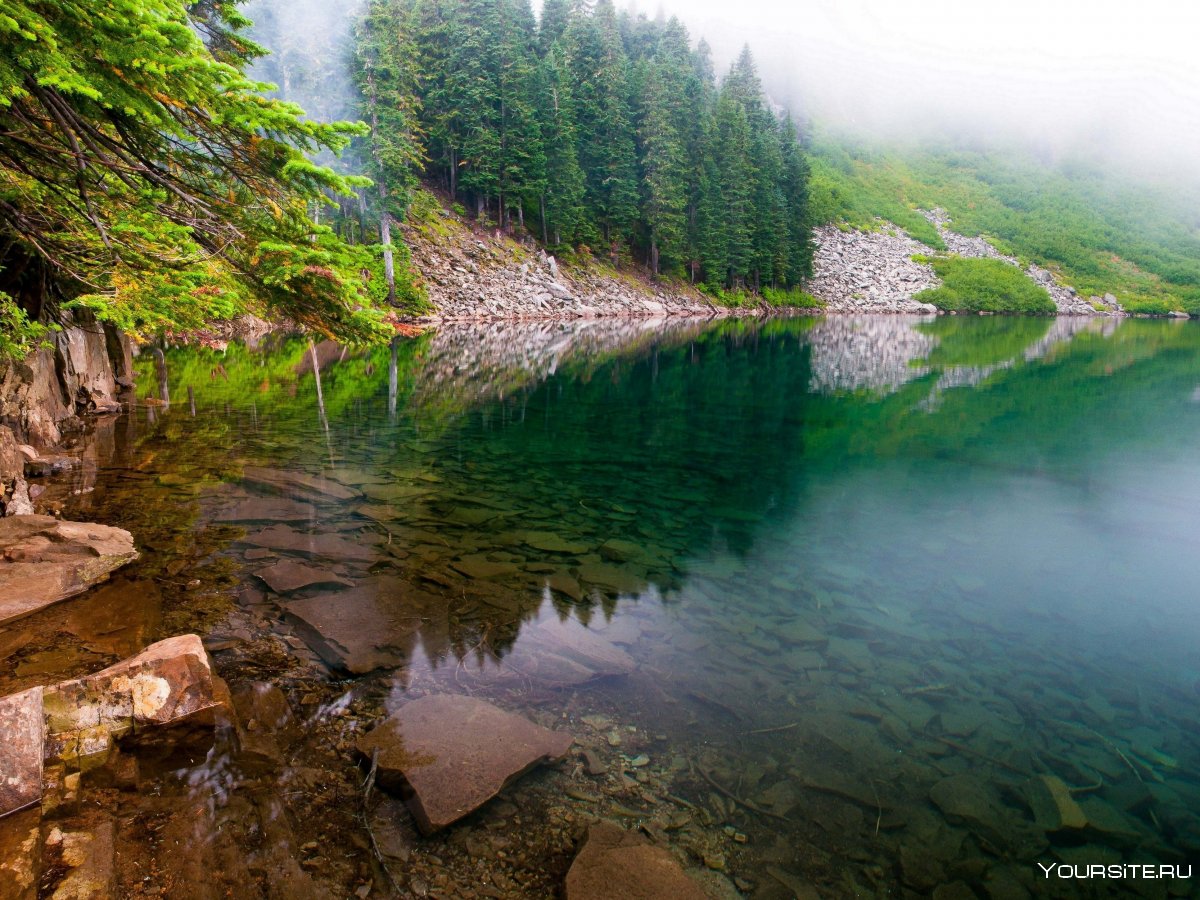 Чистая река