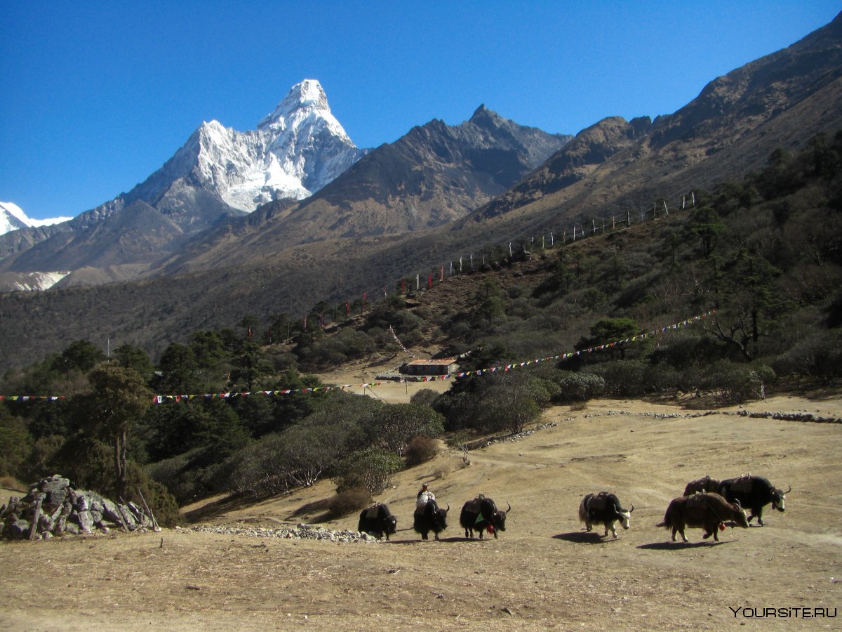 Sagarmatha National Park, Непал