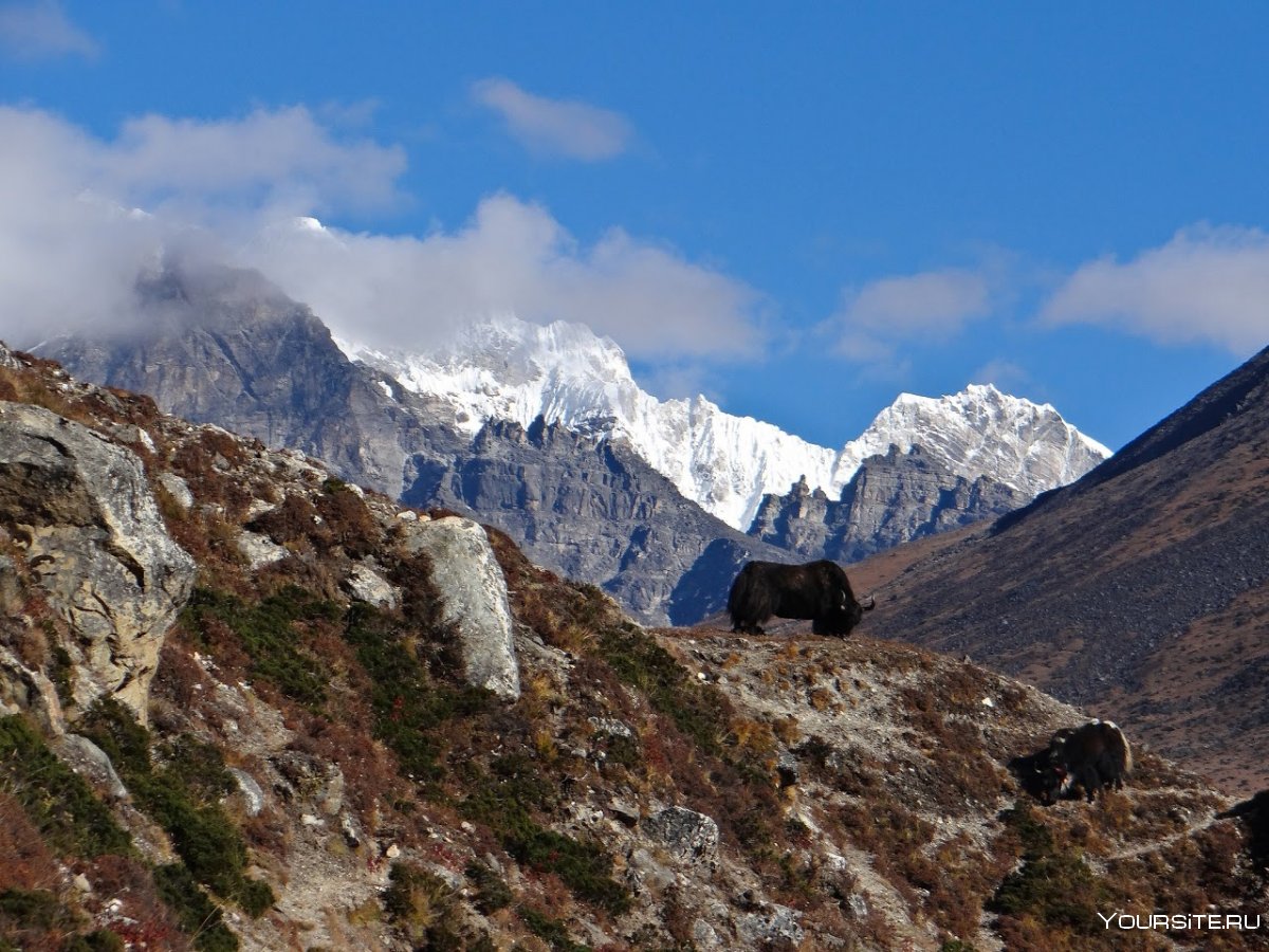 Национальный парк Сагарматха Непал