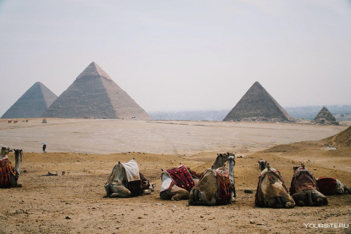 Пирамида Хеопса туристы