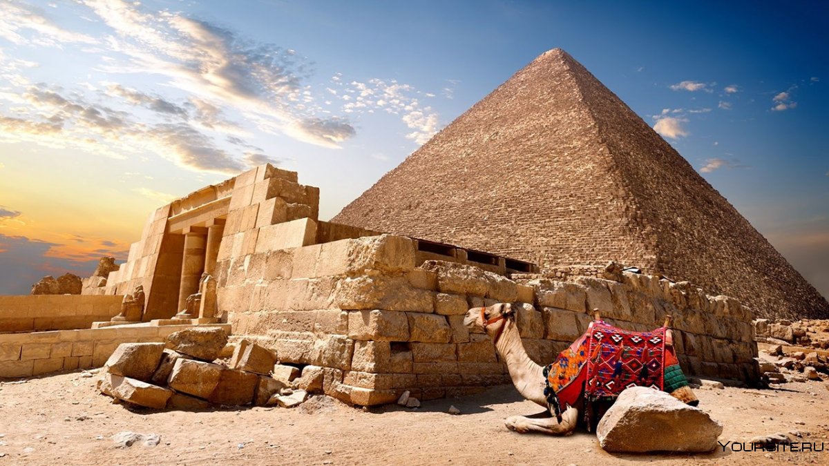 Каир Египет пирамиды