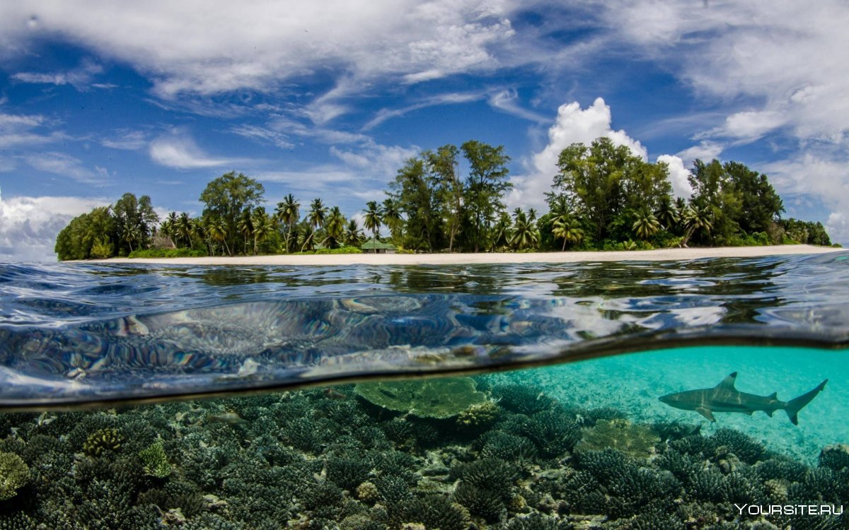 Прозрачная вода в море