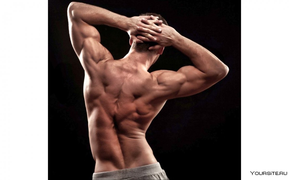 Мускулистая мужская спина