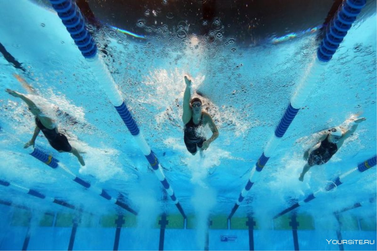 Соревнования по плаванию под водой