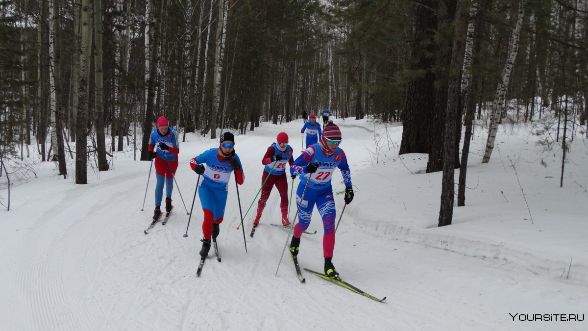 Лыжный гоночный комбинезон Sportful