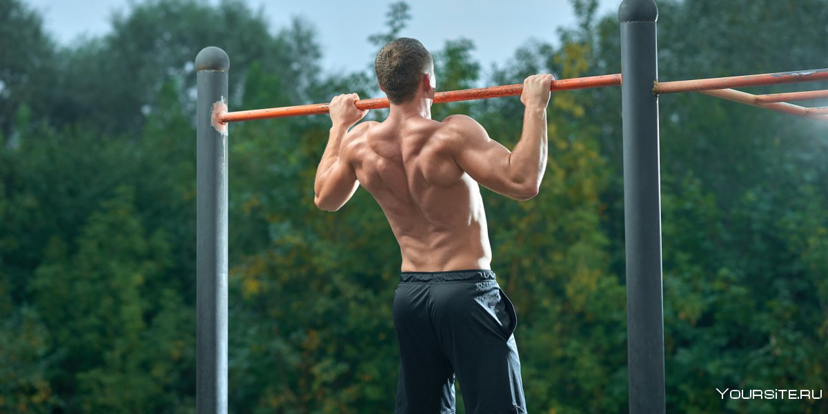 Street Workout передний ВИС