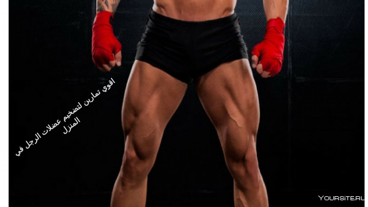 Мышцы ног квадрицепс