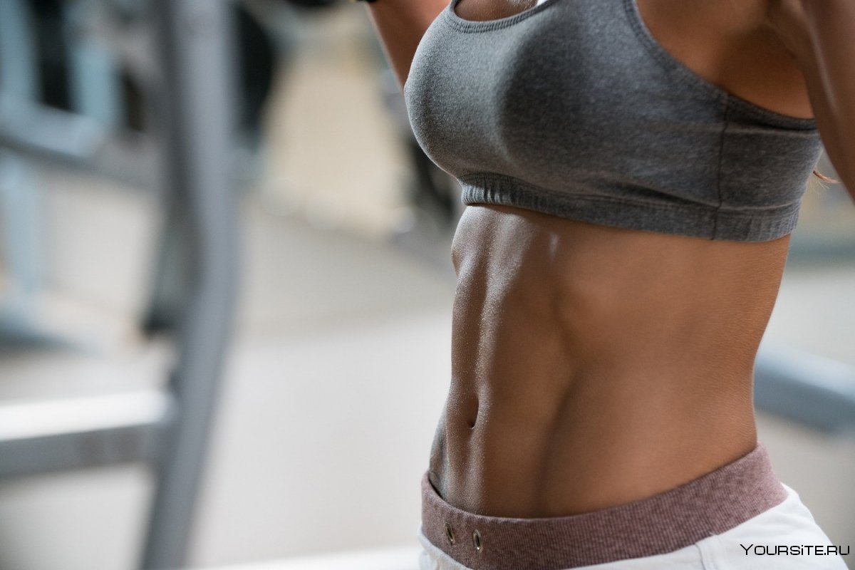 Rectus abdominis мышца