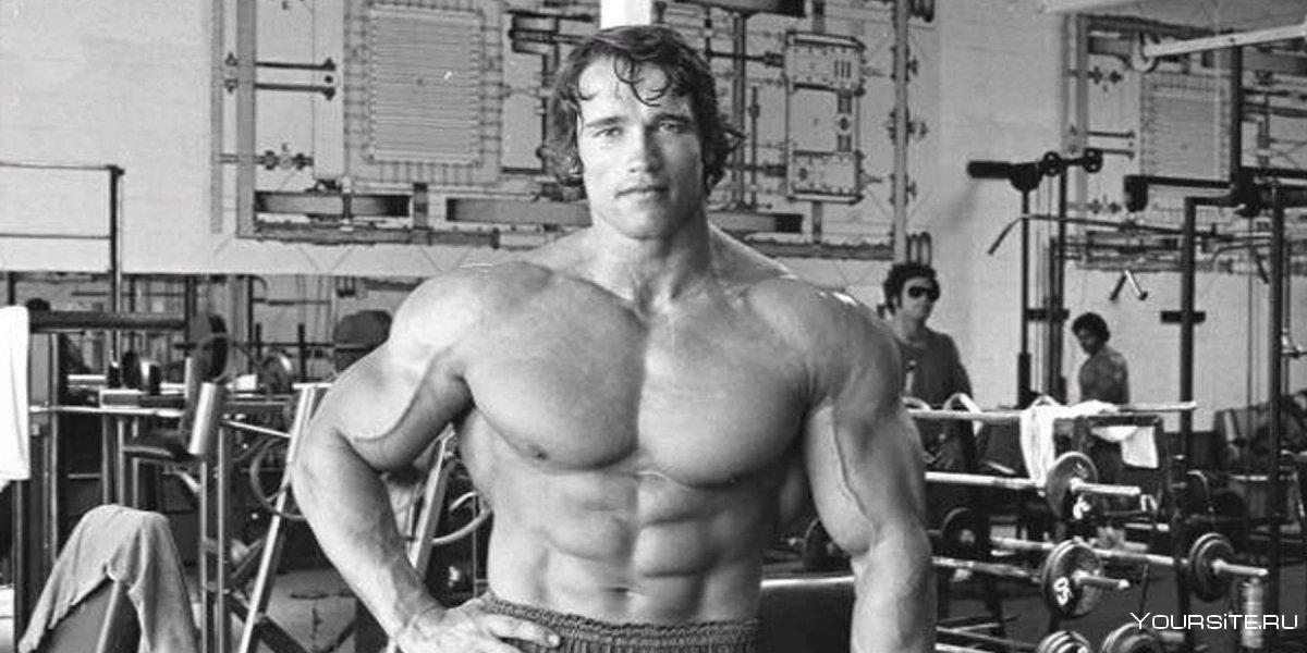 Арнольд Шварценеггер 1983