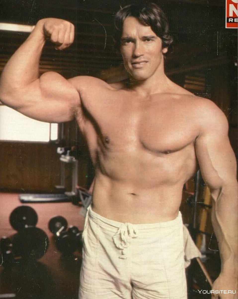 Arnold Schwarzenegger в молодости