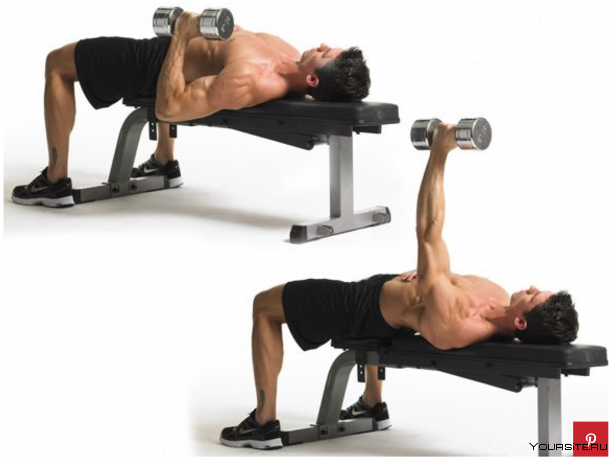 Упражнения на скамье с гантелями для грудных мышц