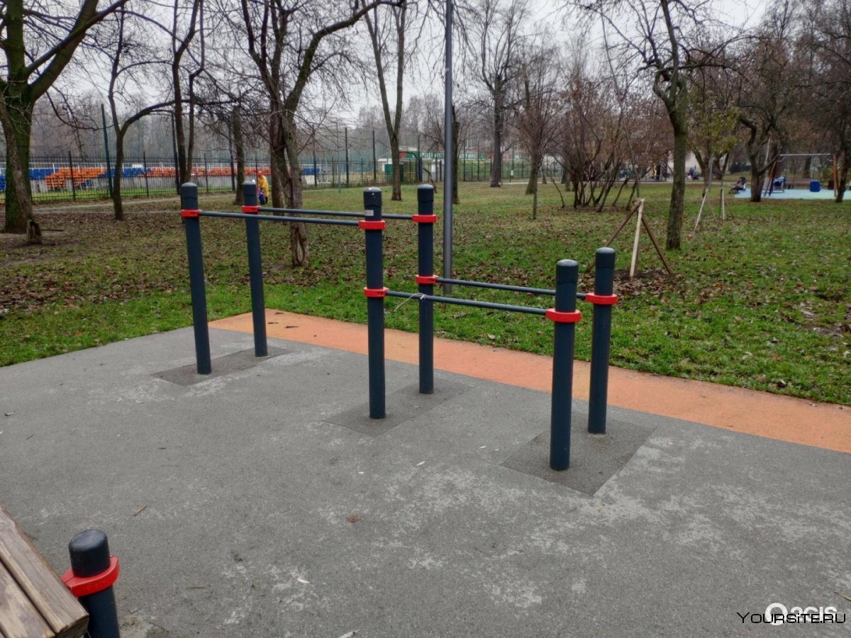 Ласточка воркаут Новосибирск