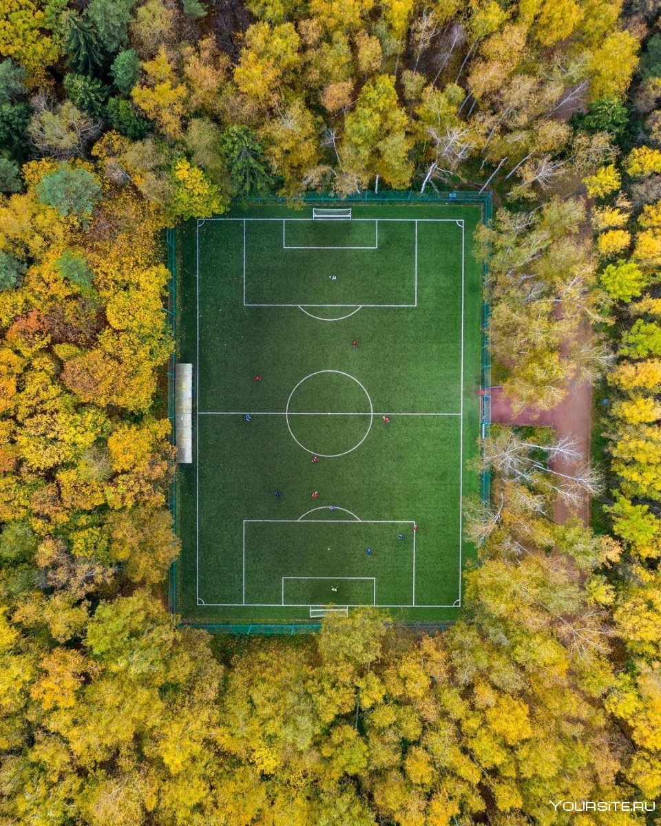 Мещерский лес футбольный стадион