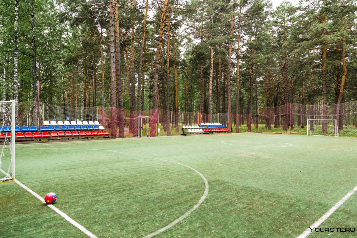 Стадион парка Гагарина Самара