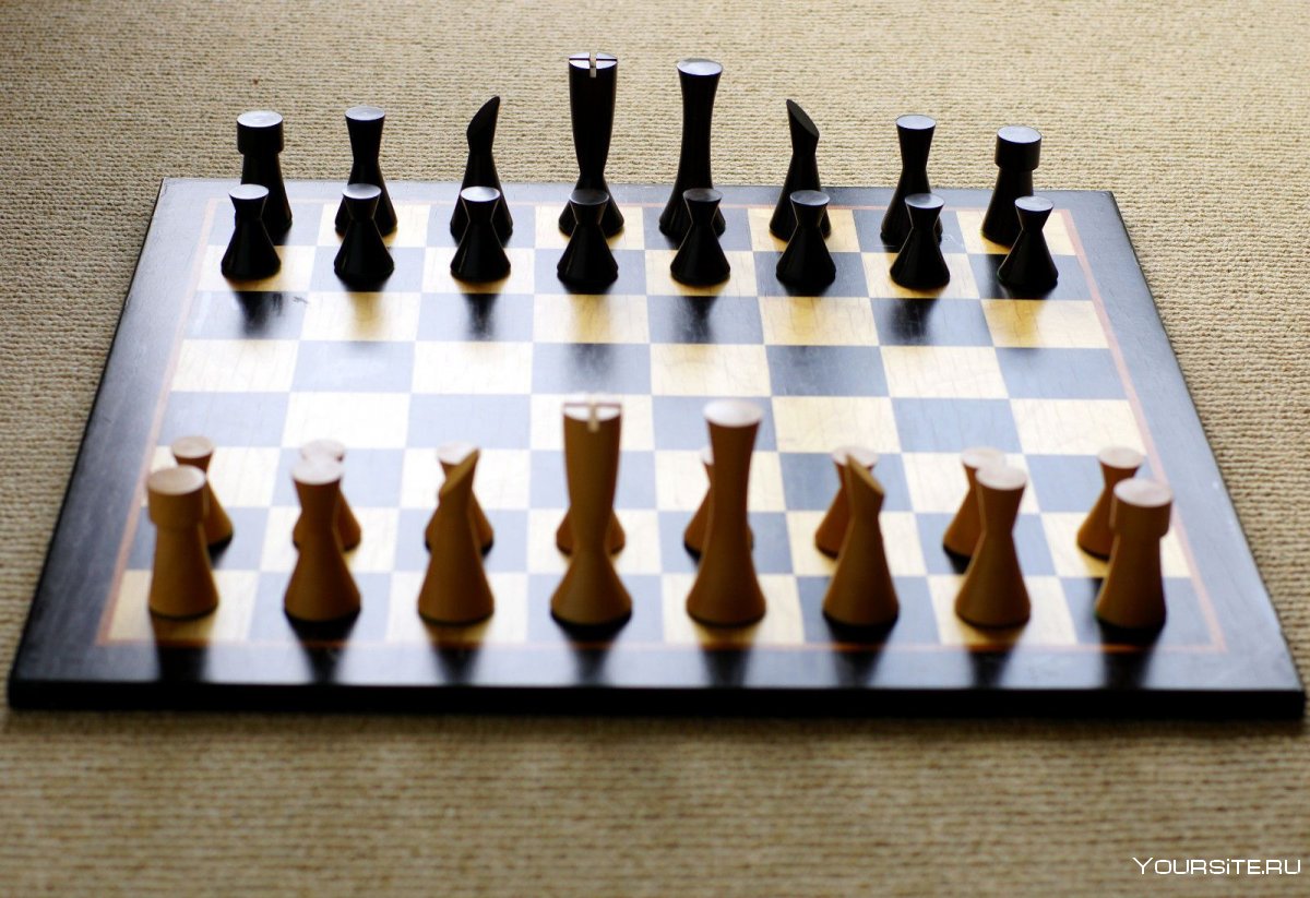 Грозный и шахматы