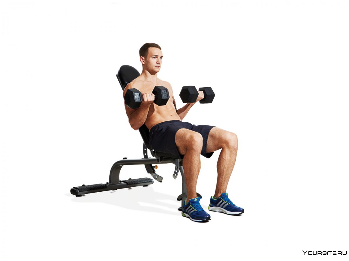Seated Incline Dumbbell Curl