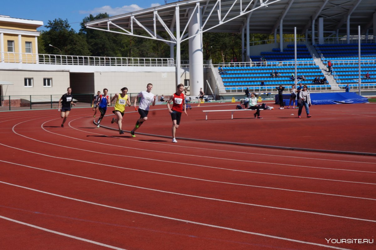 Королева спорта стадион