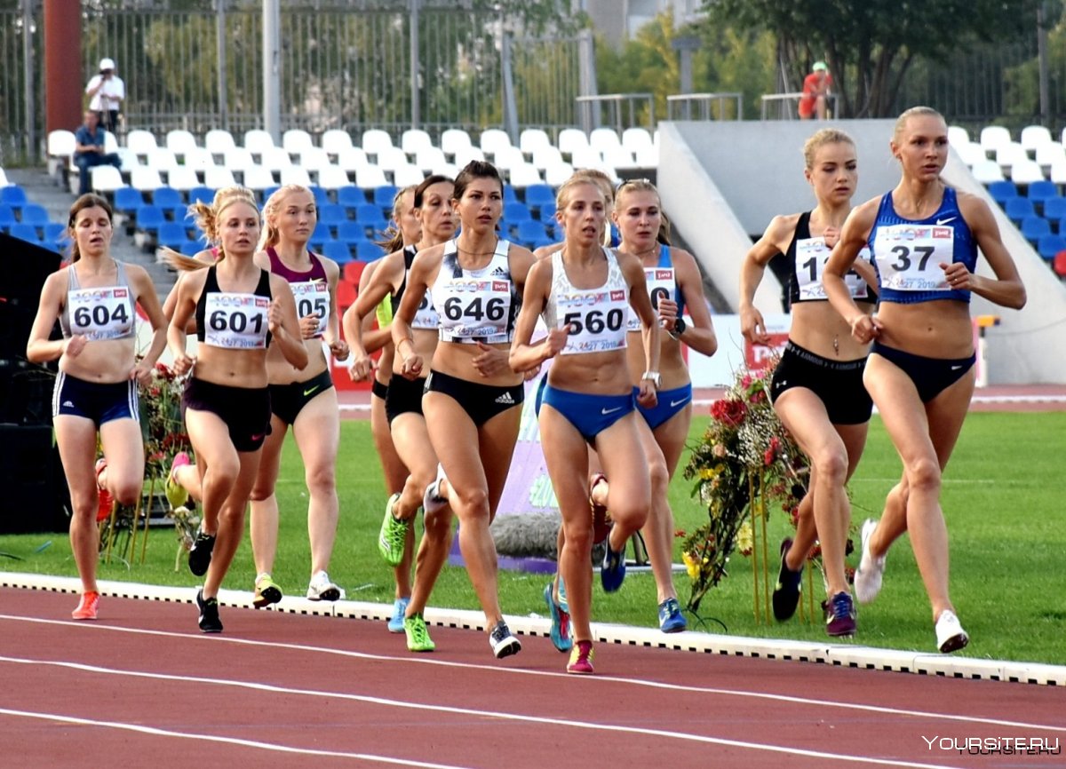 Легкая атлетика Королева спорта бег