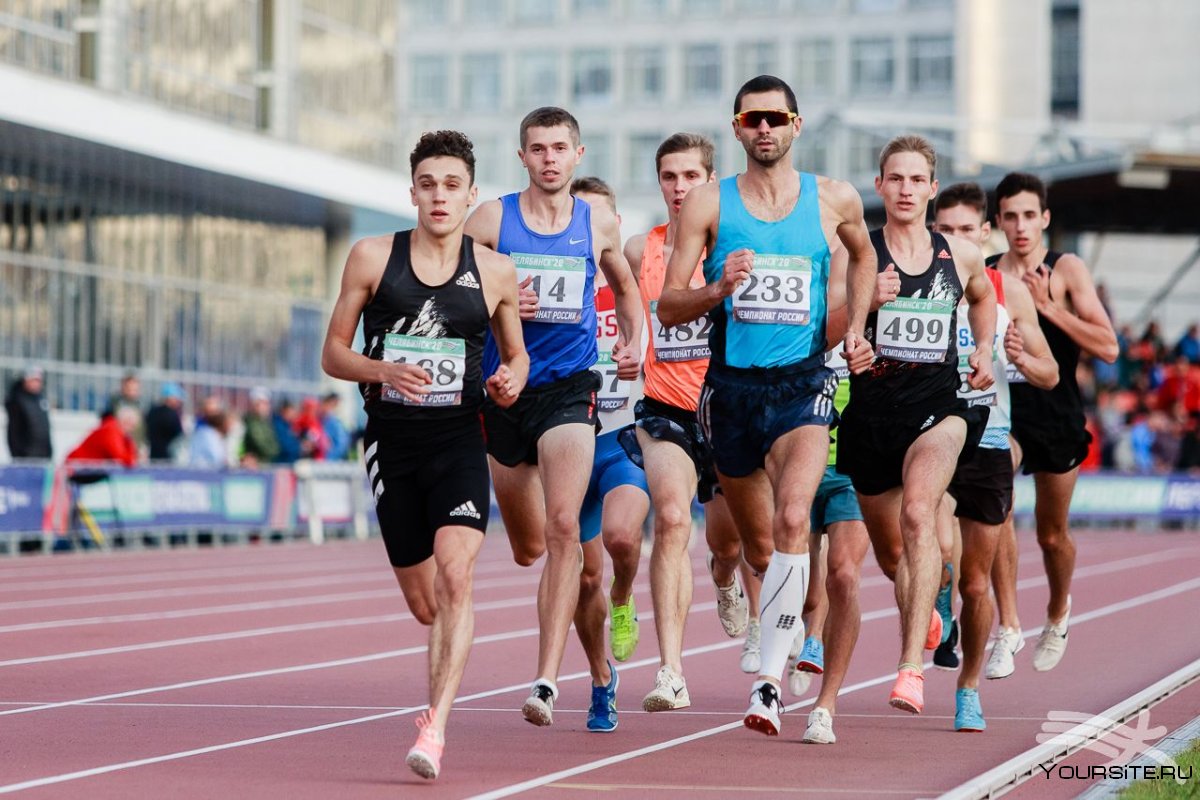 Образ королевы спорта