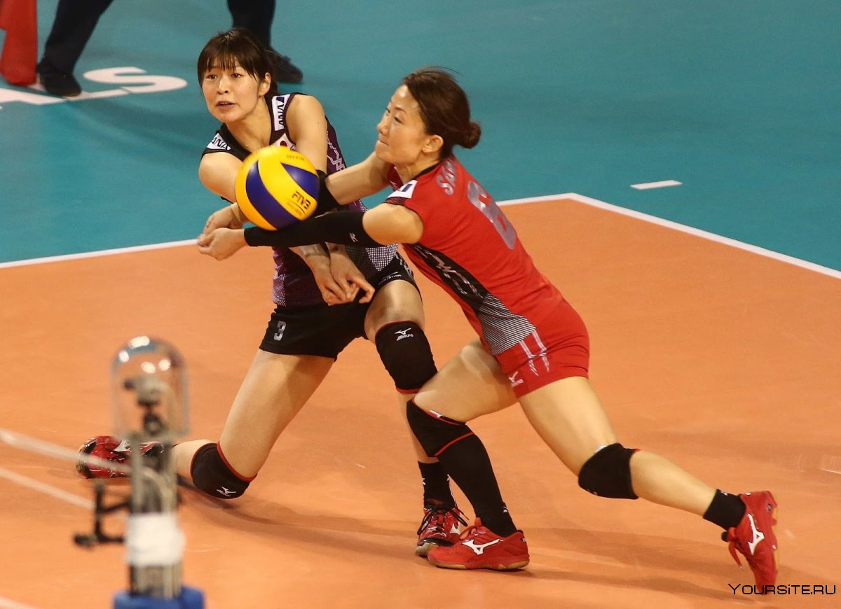 Японская сборная по волейболу женская
