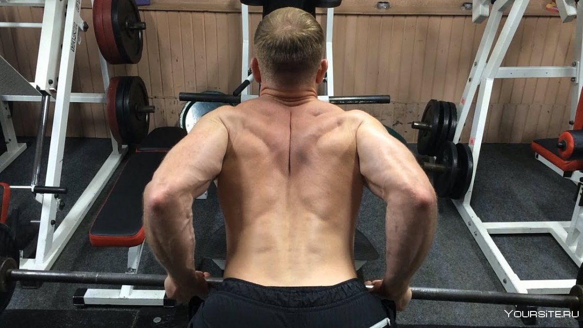 Тяга на широчайшие мышцы спины