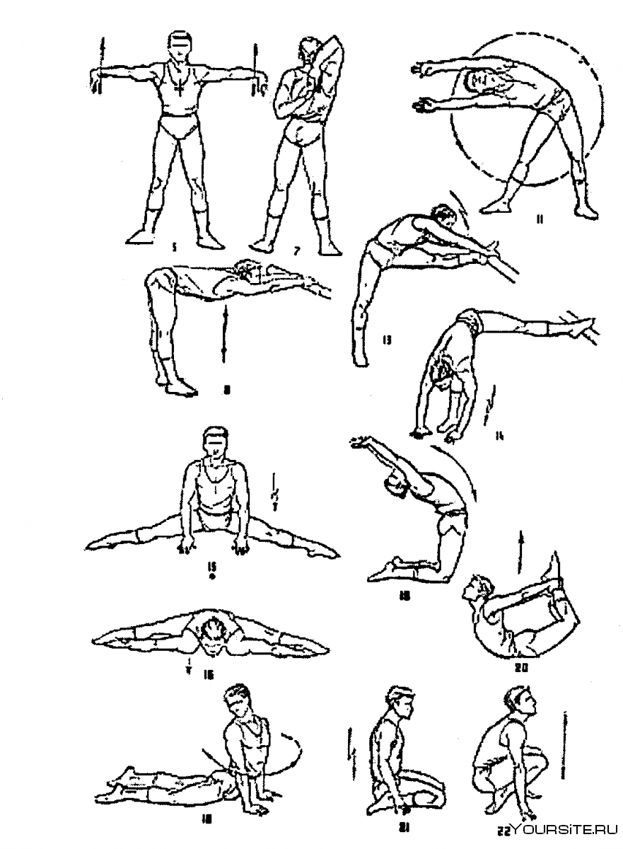 Упражнения для растяжения мышц на гибкость