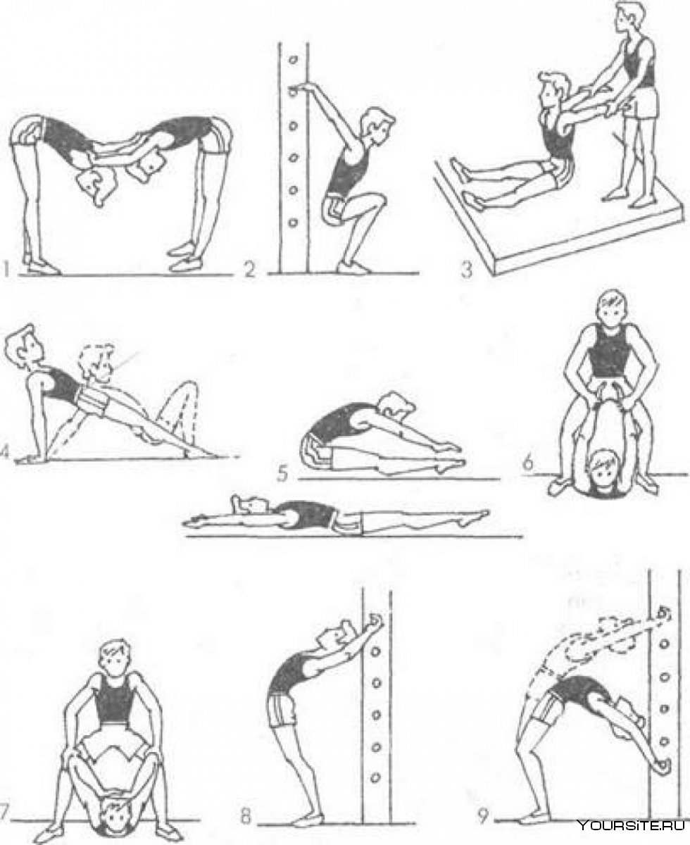 Комплекс упражнений на гибкость и подвижность суставов