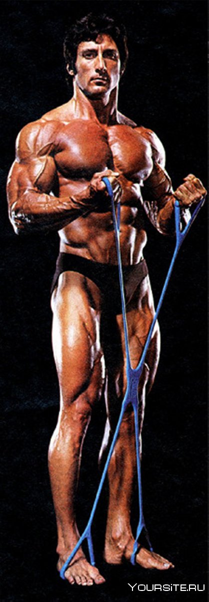 Фрэнк Зейн фото максимальная мускулистость