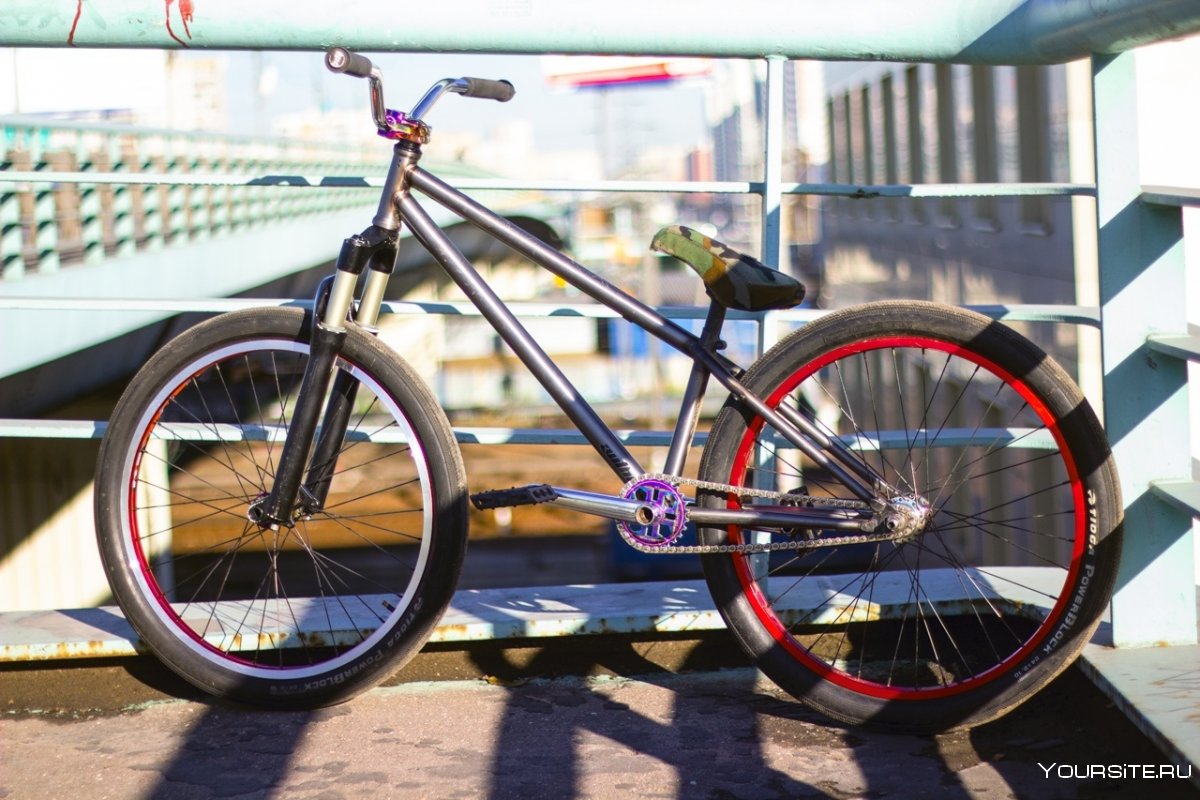 MTB author Ultimate 24