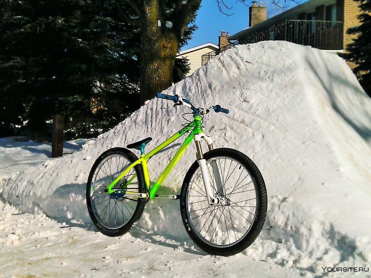 NS Bikes Downhill 2012