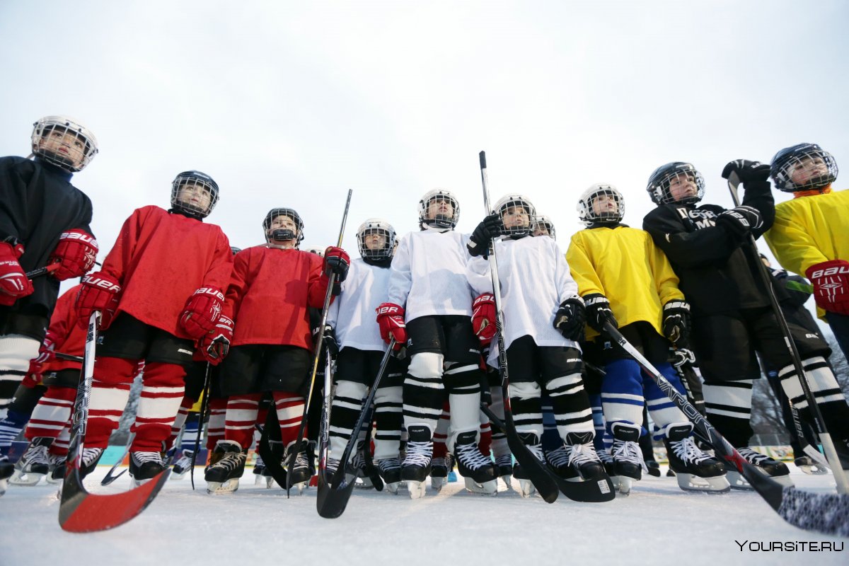 Хоккеистки женской хоккейной Лиги