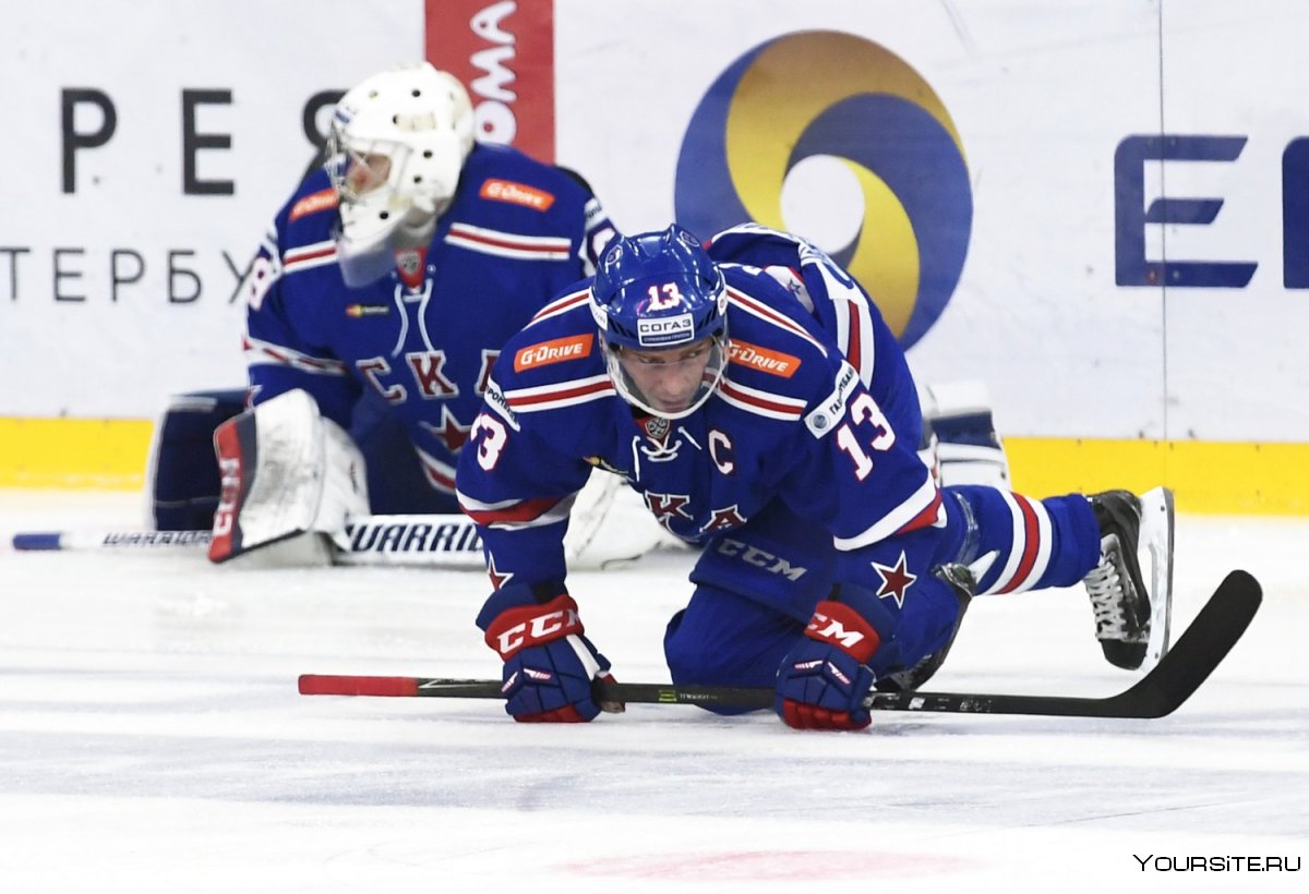 Игрок НХЛ Волков Александер