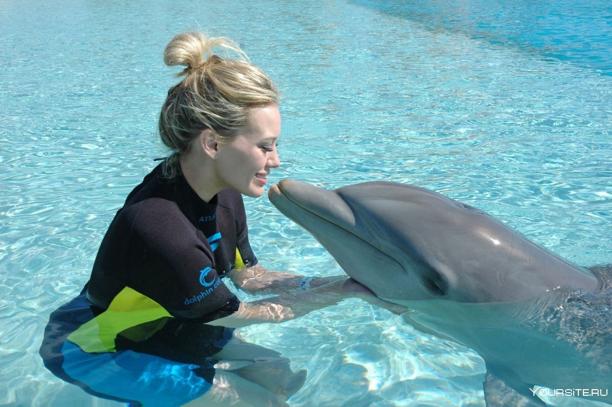 Москвариум плавание с дельфинами
