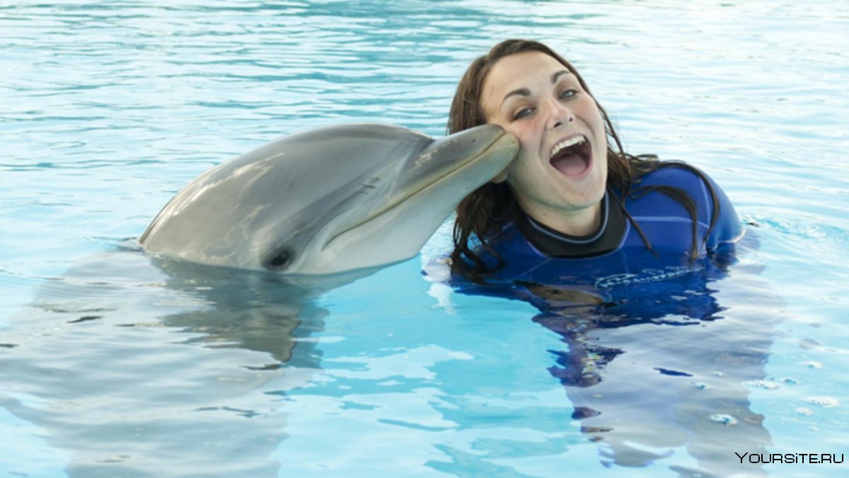 Фотосессия с дельфинами
