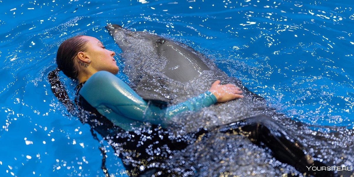 Океанариум на ВДНХ плавание с дельфинами