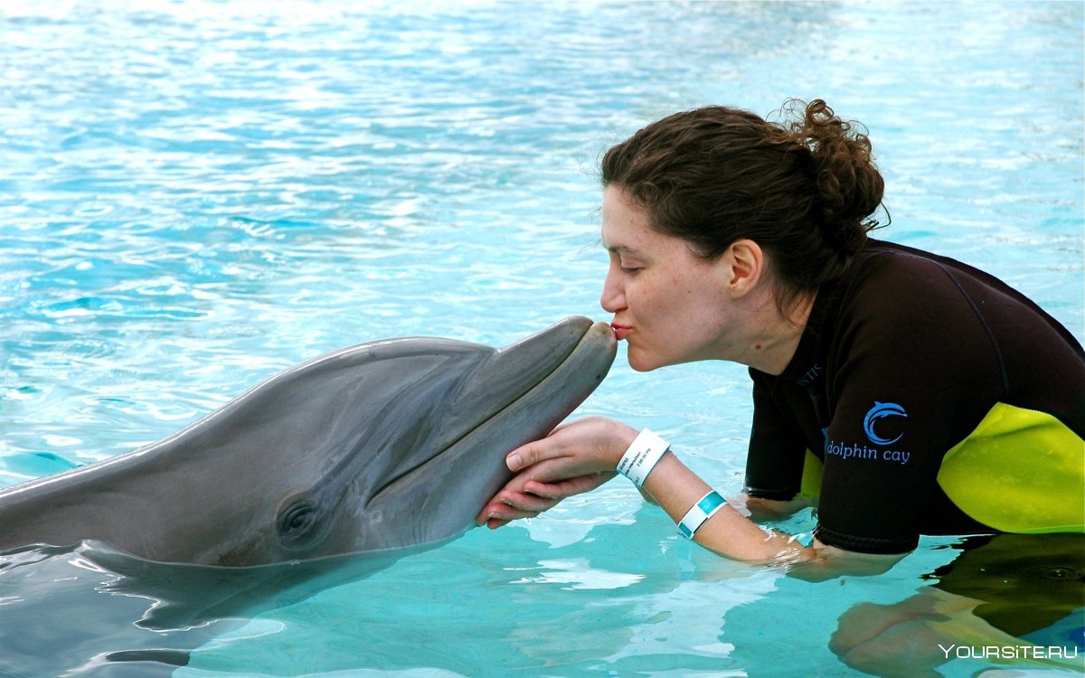 Поцелуй с дельфином