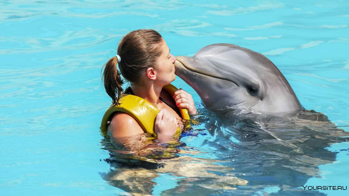 Дельфинарий Dolphin Bay