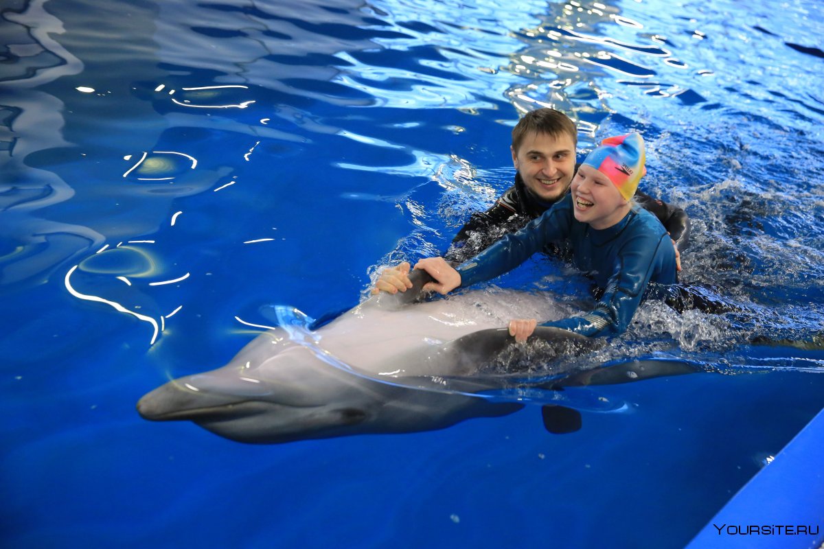 Плавание с дельфинами в Москве