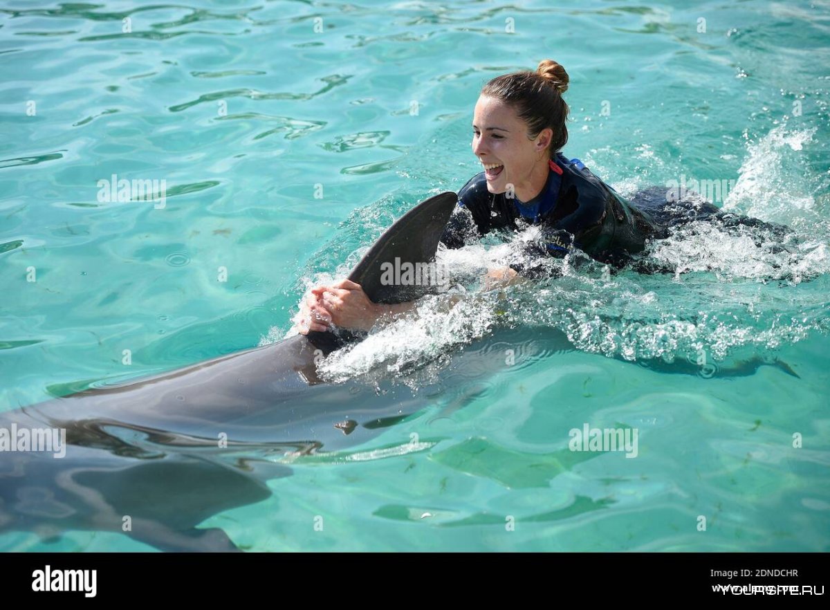 Плавание с дельфинами Майами