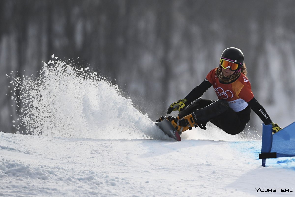 Fis Snowboard Slalom