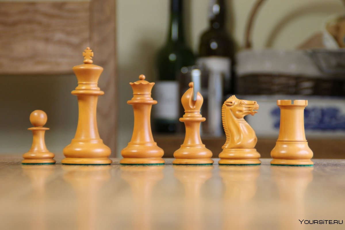Шахматы real Chess