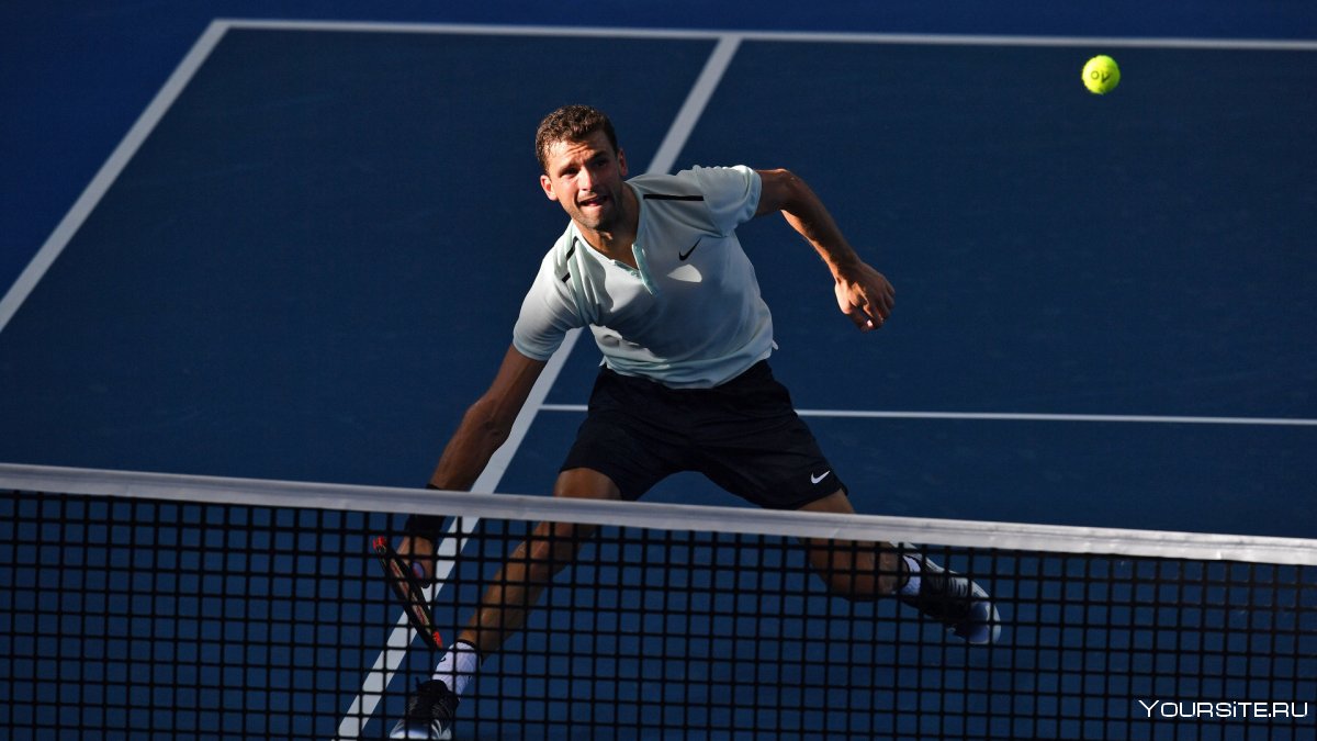 Grigor Dimitrov and Fabio Fognini