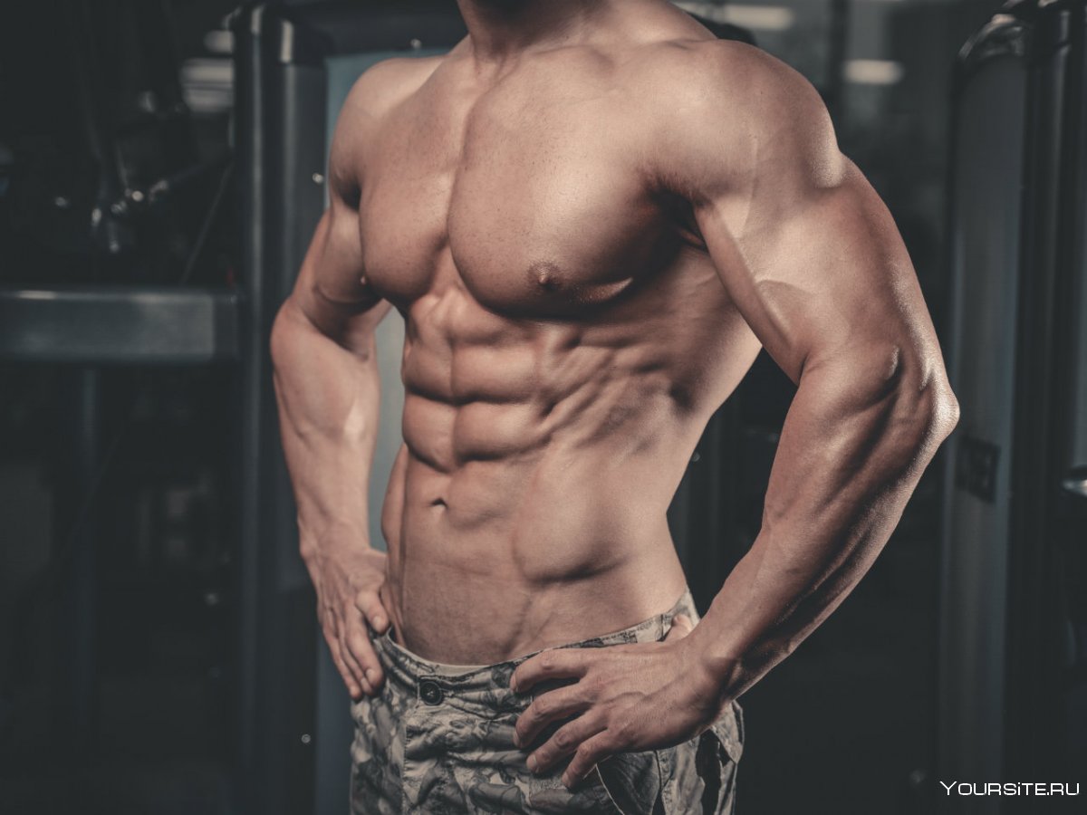 Кубики у мужчин и мышцы и грудные мышцы