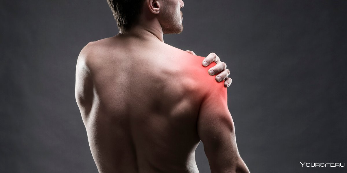 Мускулистая мужская спина
