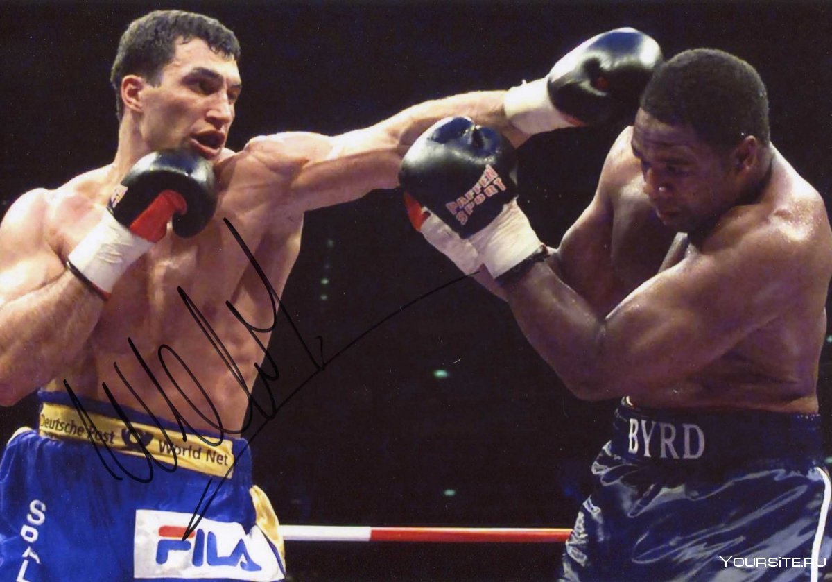 Shamo Boxing бокс 04.09.2020