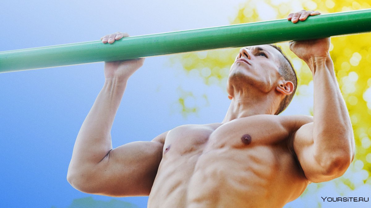 Спортзал TRX